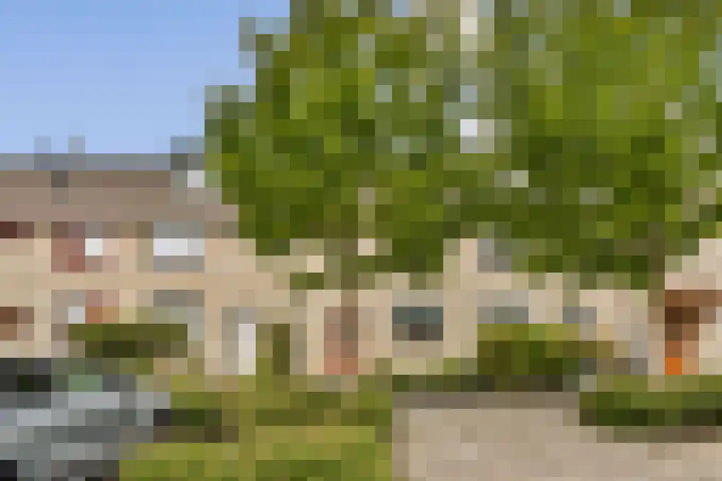 Glidkruid 5 Vlaardingen thumbnail 5