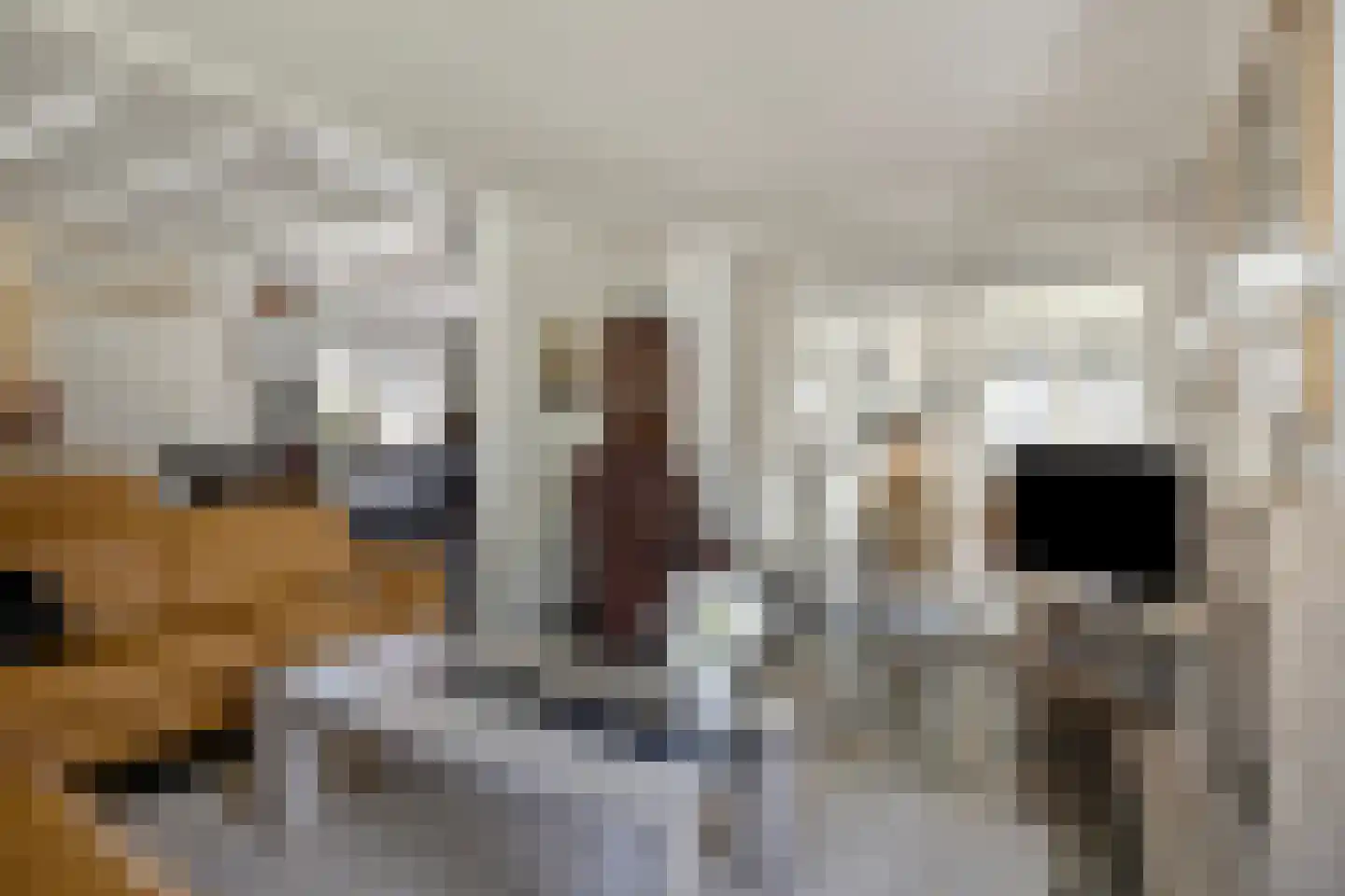 Glindestraat 1 Oldenzaal thumbnail 4