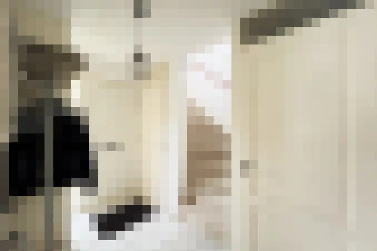 Glindhorst 13 De Glind thumbnail 10