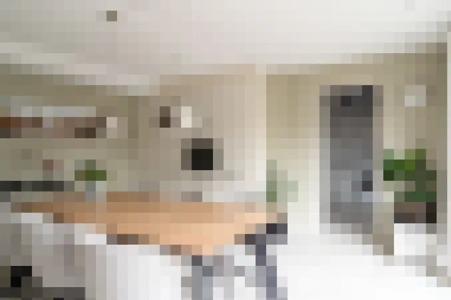 Glindhorst 13 De Glind thumbnail 24