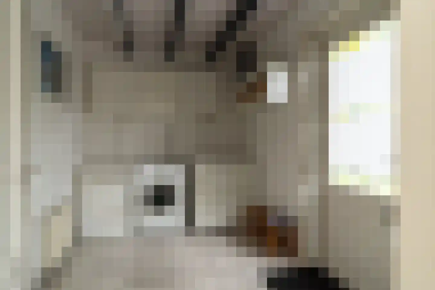 Glindhorst 13 De Glind thumbnail 25