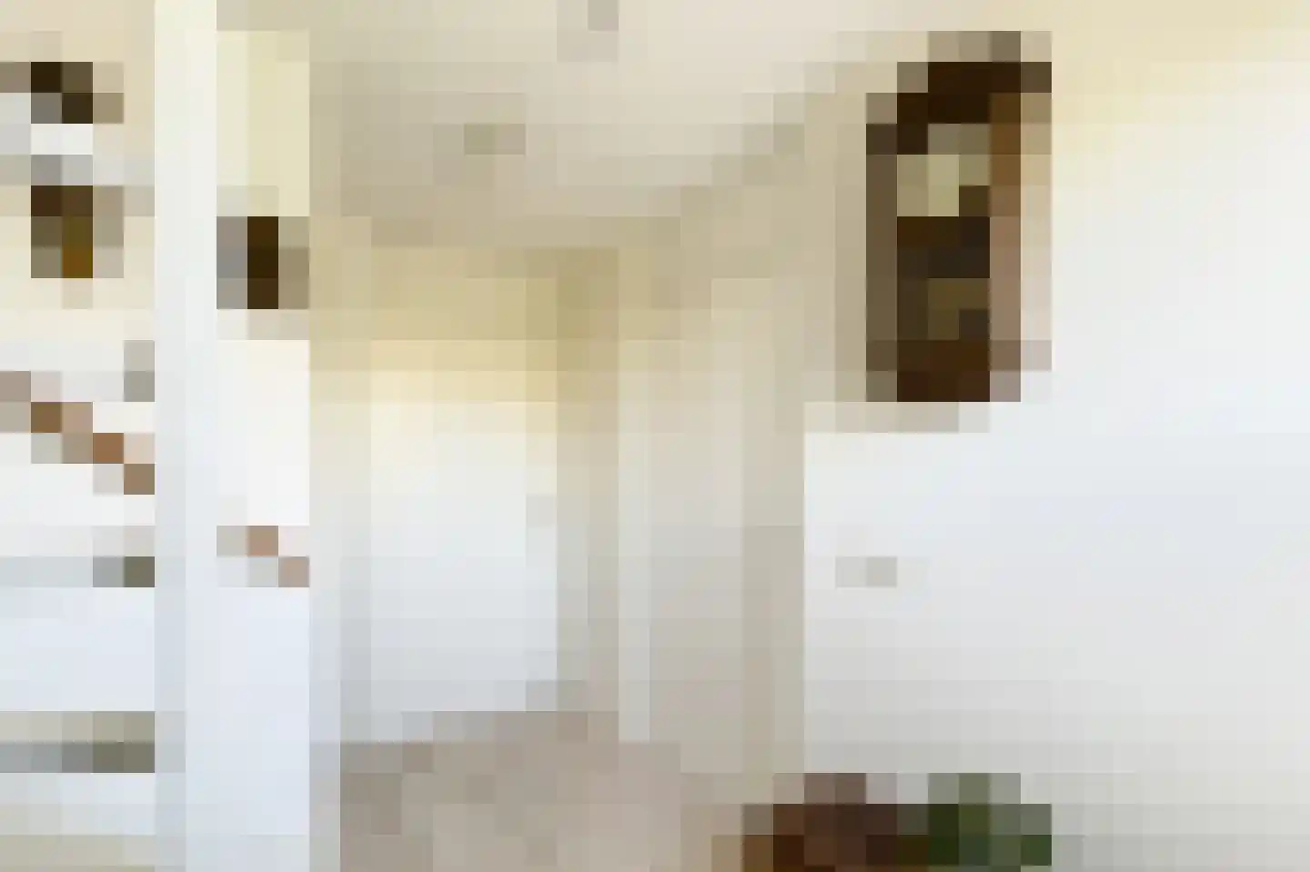 Glindhorst 13 De Glind thumbnail 32