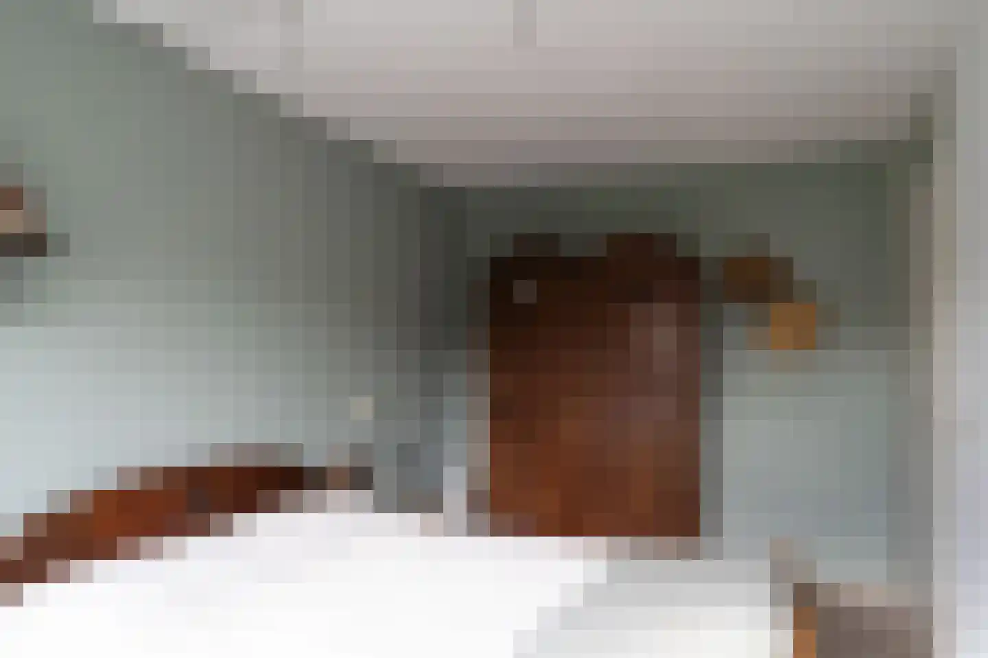 Glindhorst 13 De Glind thumbnail 34