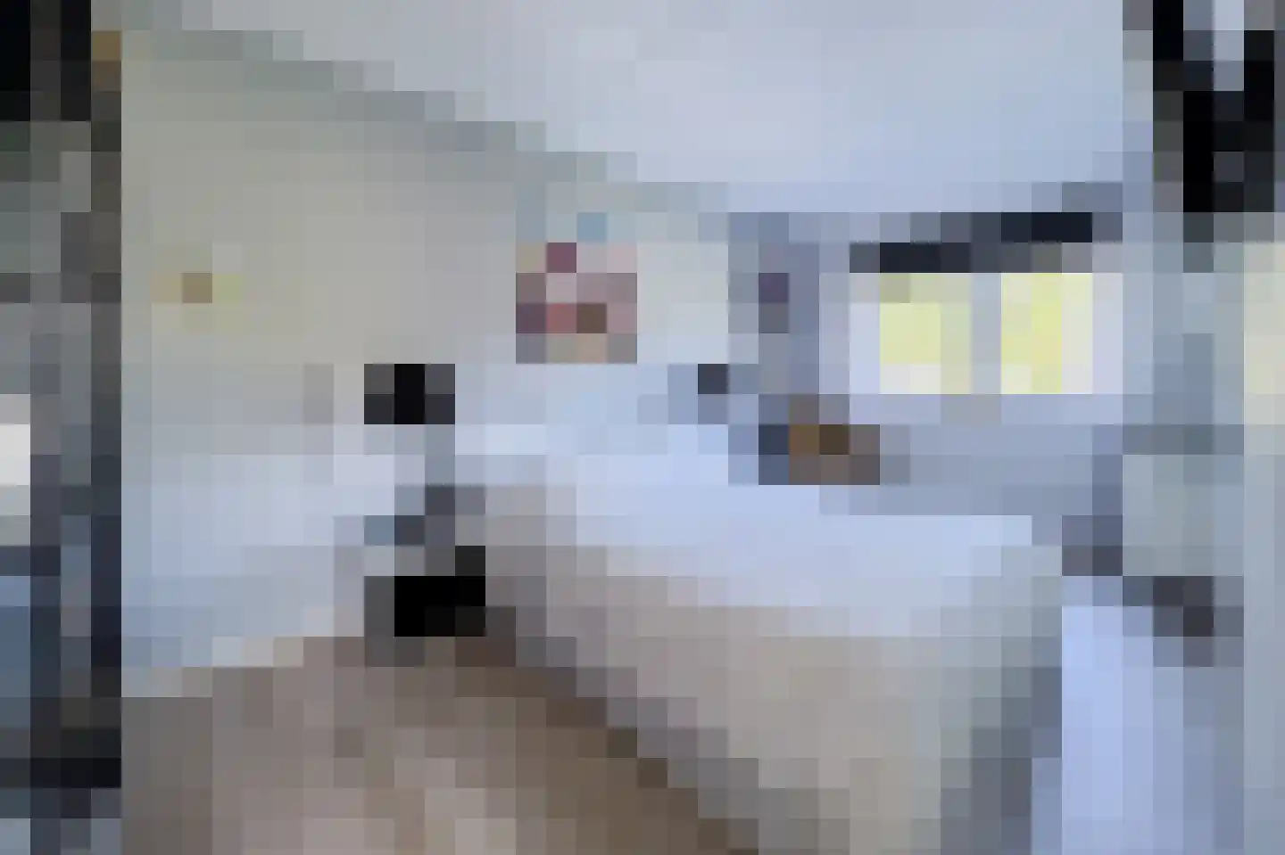 Glindhorst 13 De Glind thumbnail 39