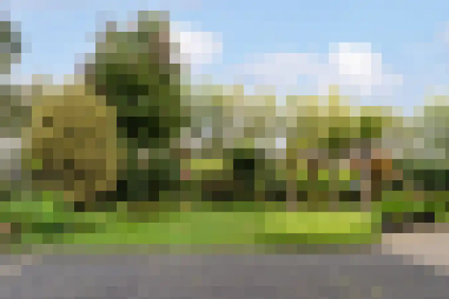 Glindhorst 13 De Glind thumbnail 60