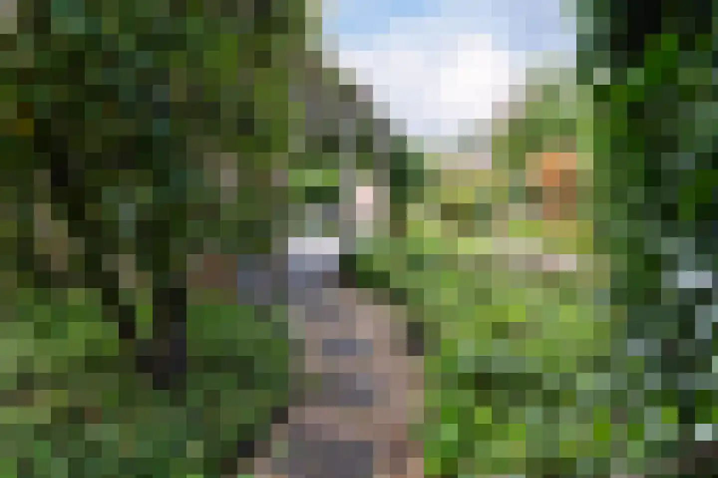 Glindhorst 13 De Glind thumbnail 63