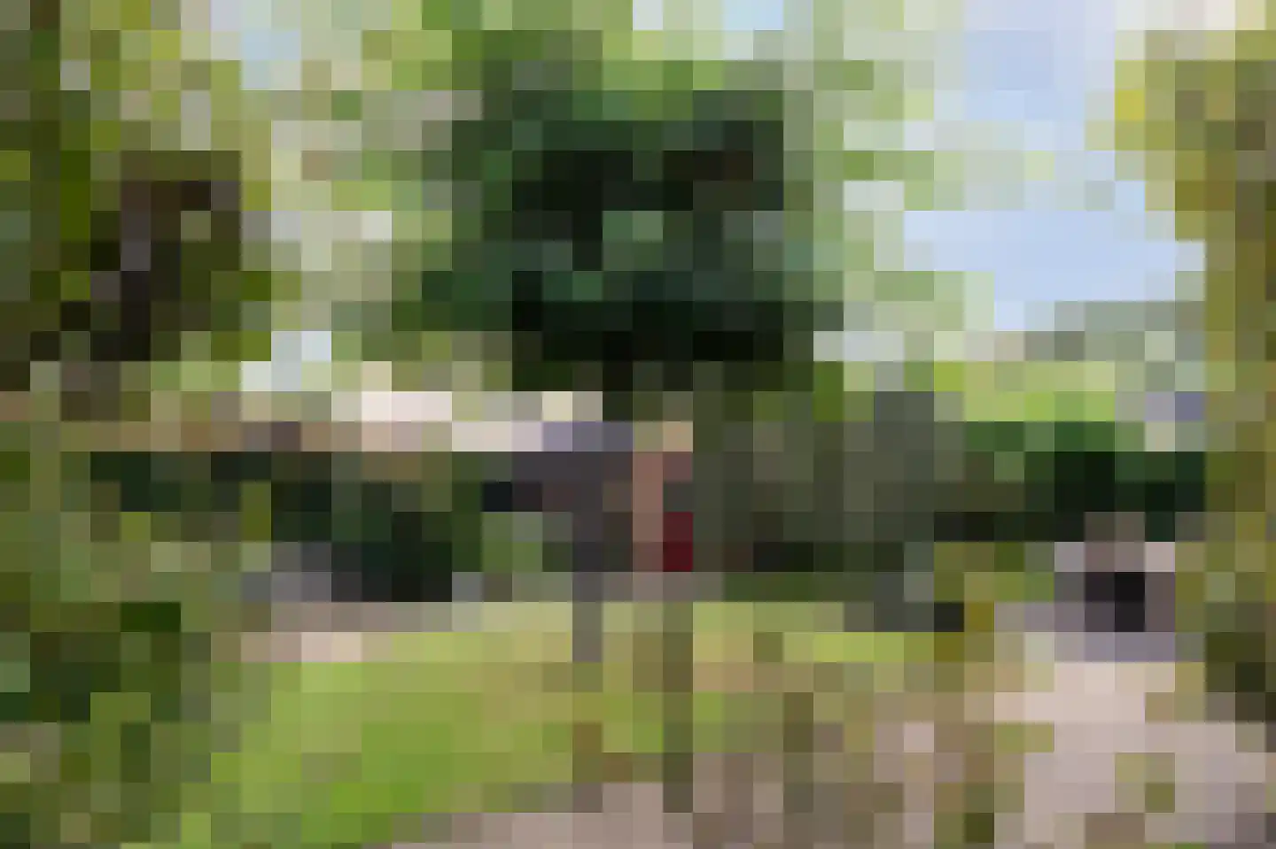 Glindhorst 13 De Glind thumbnail 66