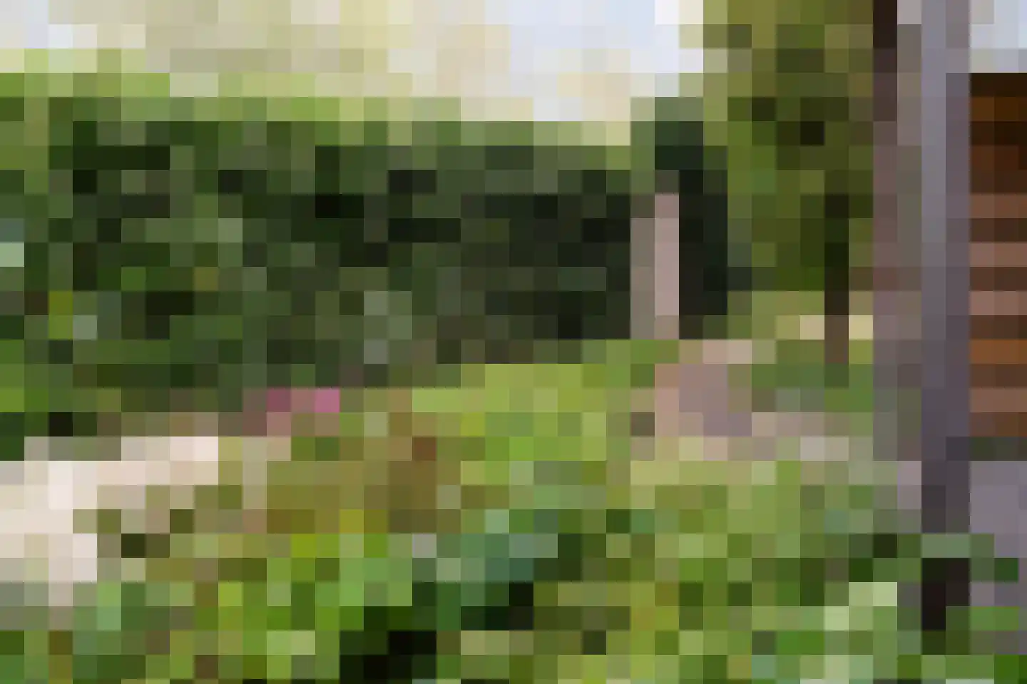 Glindhorst 13 De Glind thumbnail 68