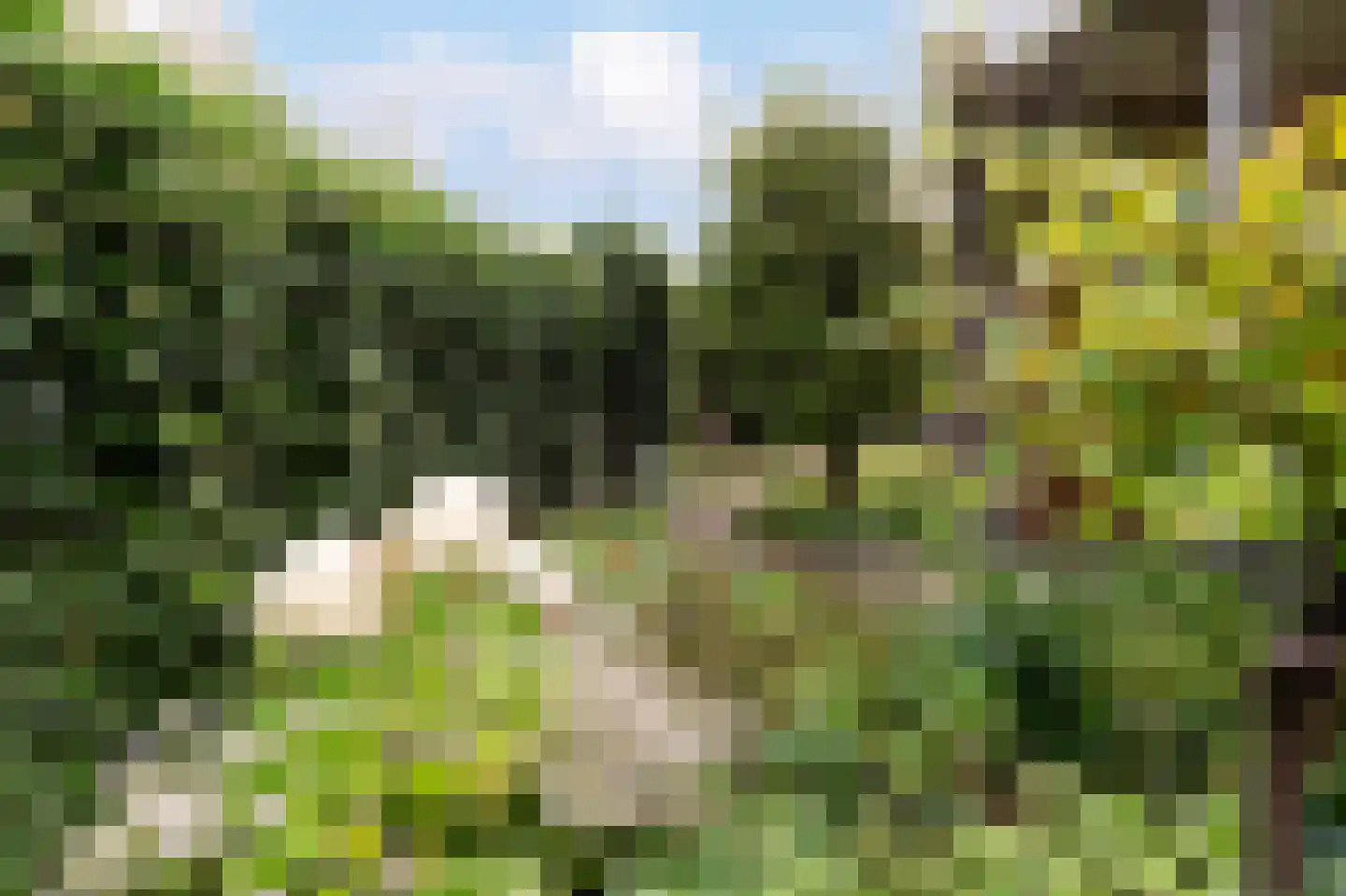 Glindhorst 13 De Glind thumbnail 69