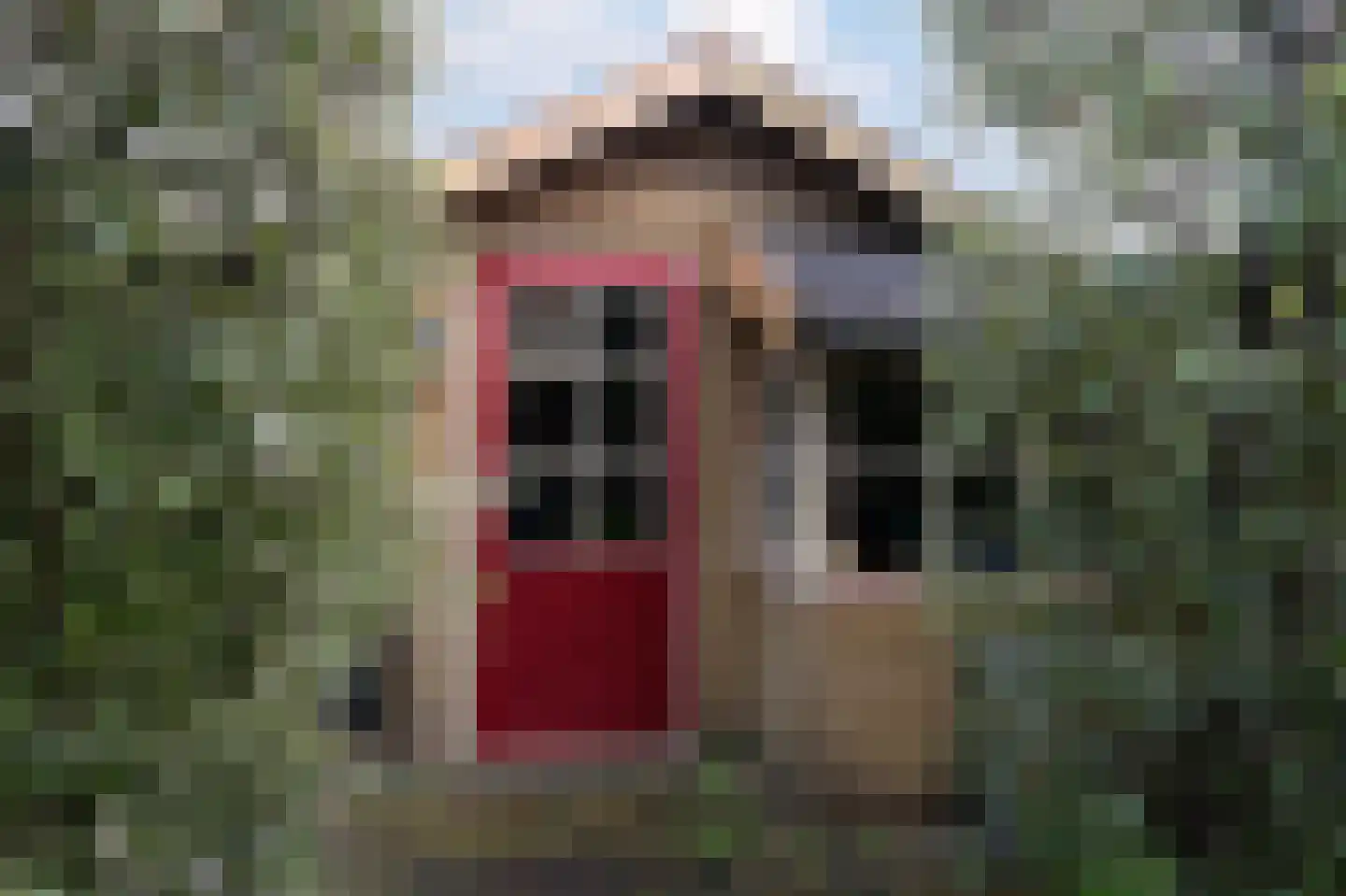 Glindhorst 13 De Glind thumbnail 72