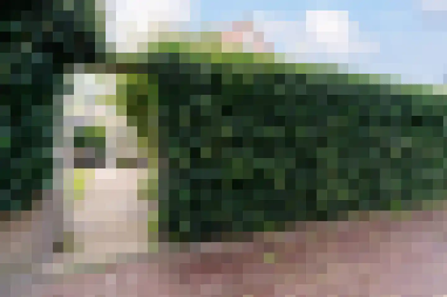 Glindhorst 13 De Glind thumbnail 76