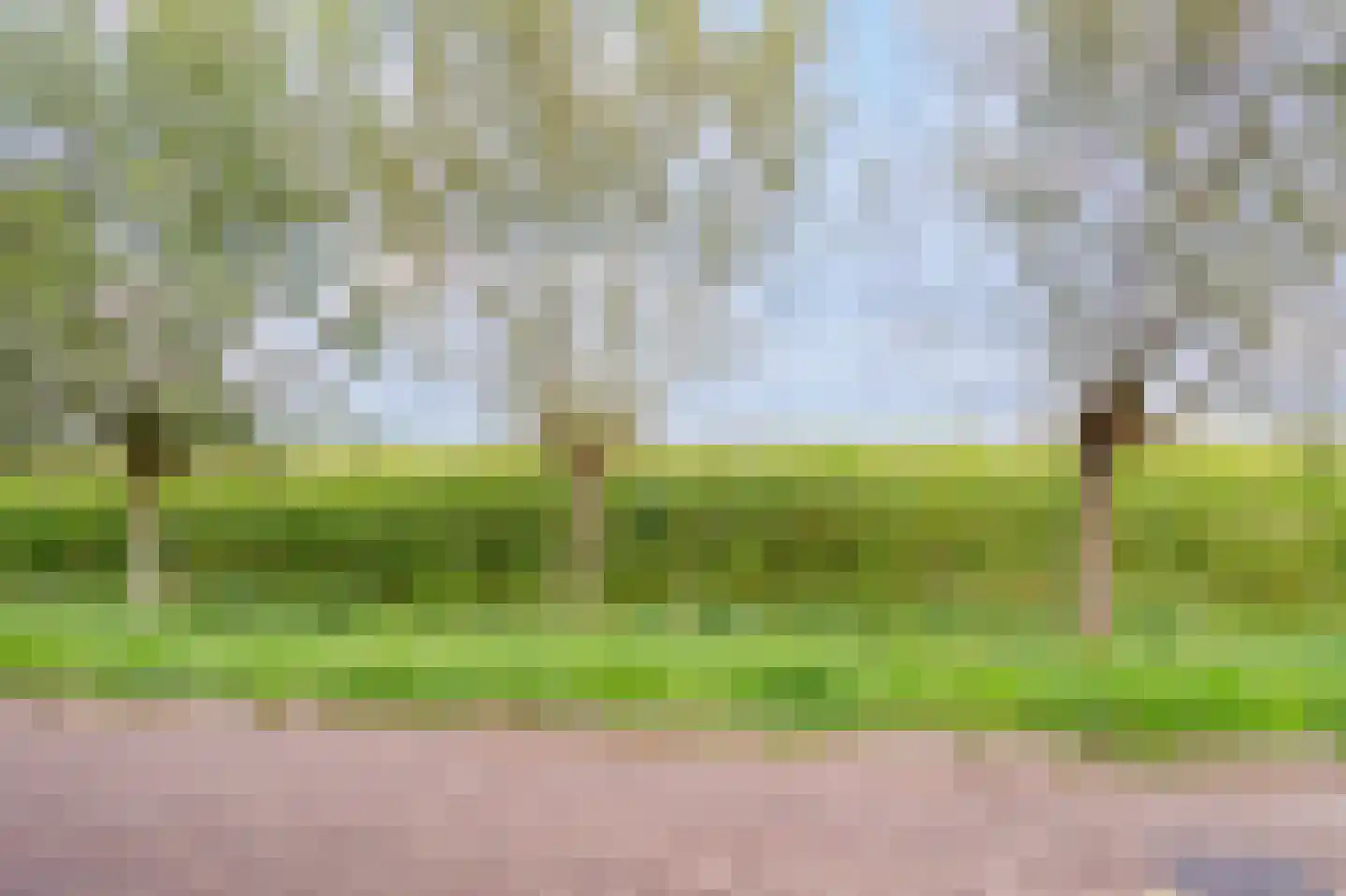 Glindhorst 13 De Glind thumbnail 78