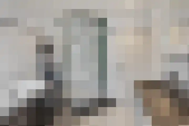 Glindhorst 34 Ede thumbnail 20