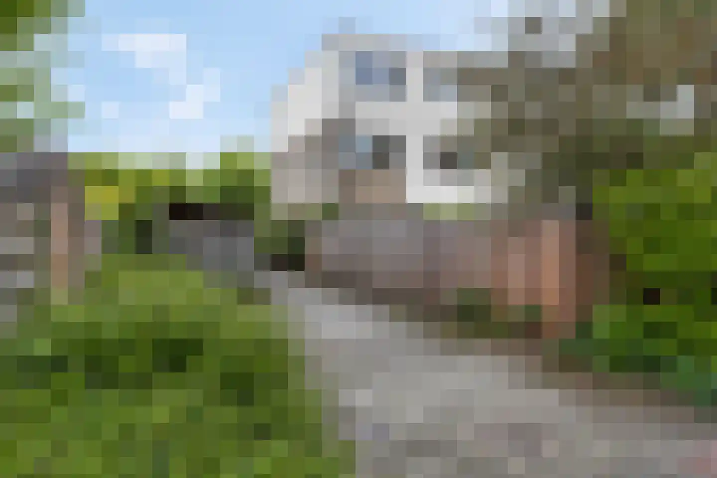Glindhorst 35 Ede thumbnail 62