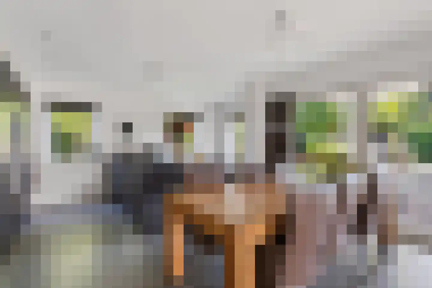 Glindweg 2 Hierden thumbnail 10