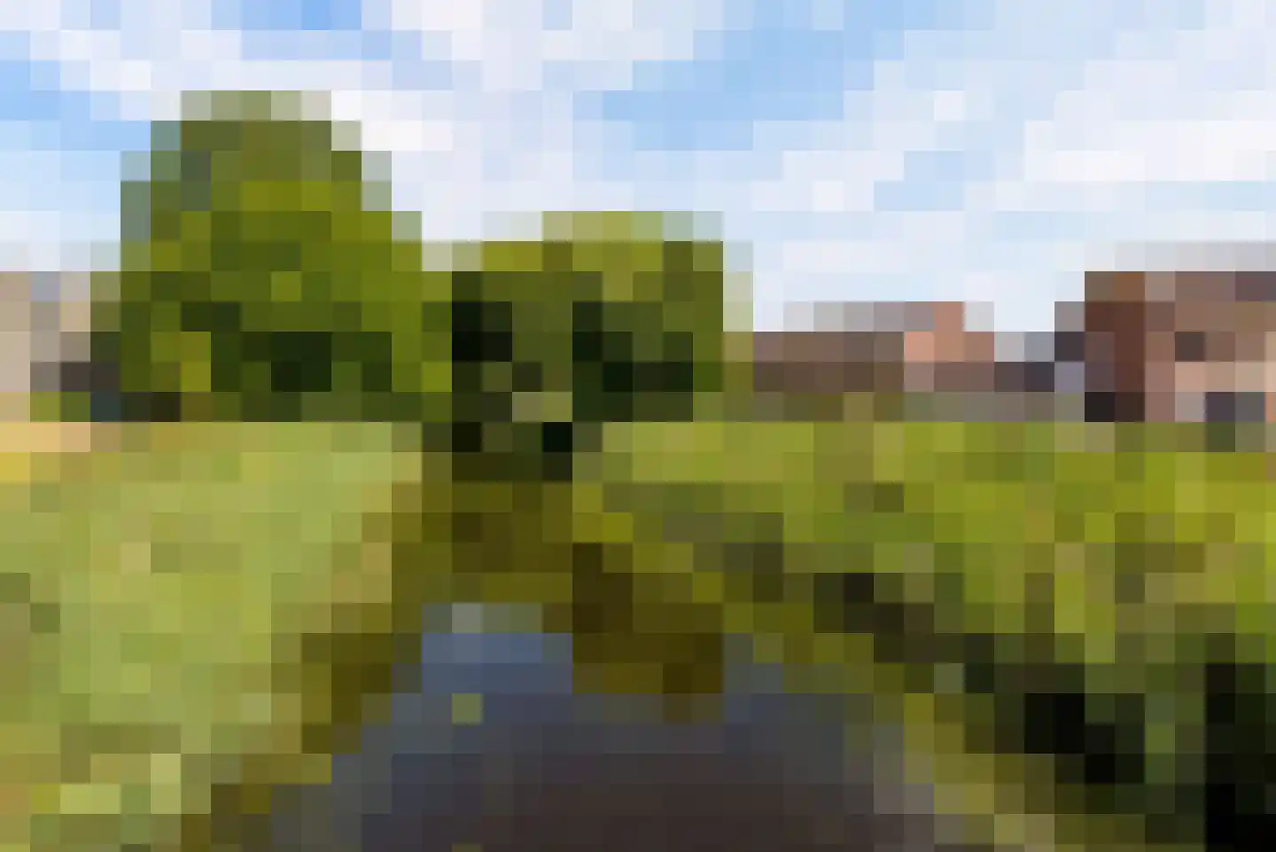 Glinkastraat 157 Almere thumbnail 54