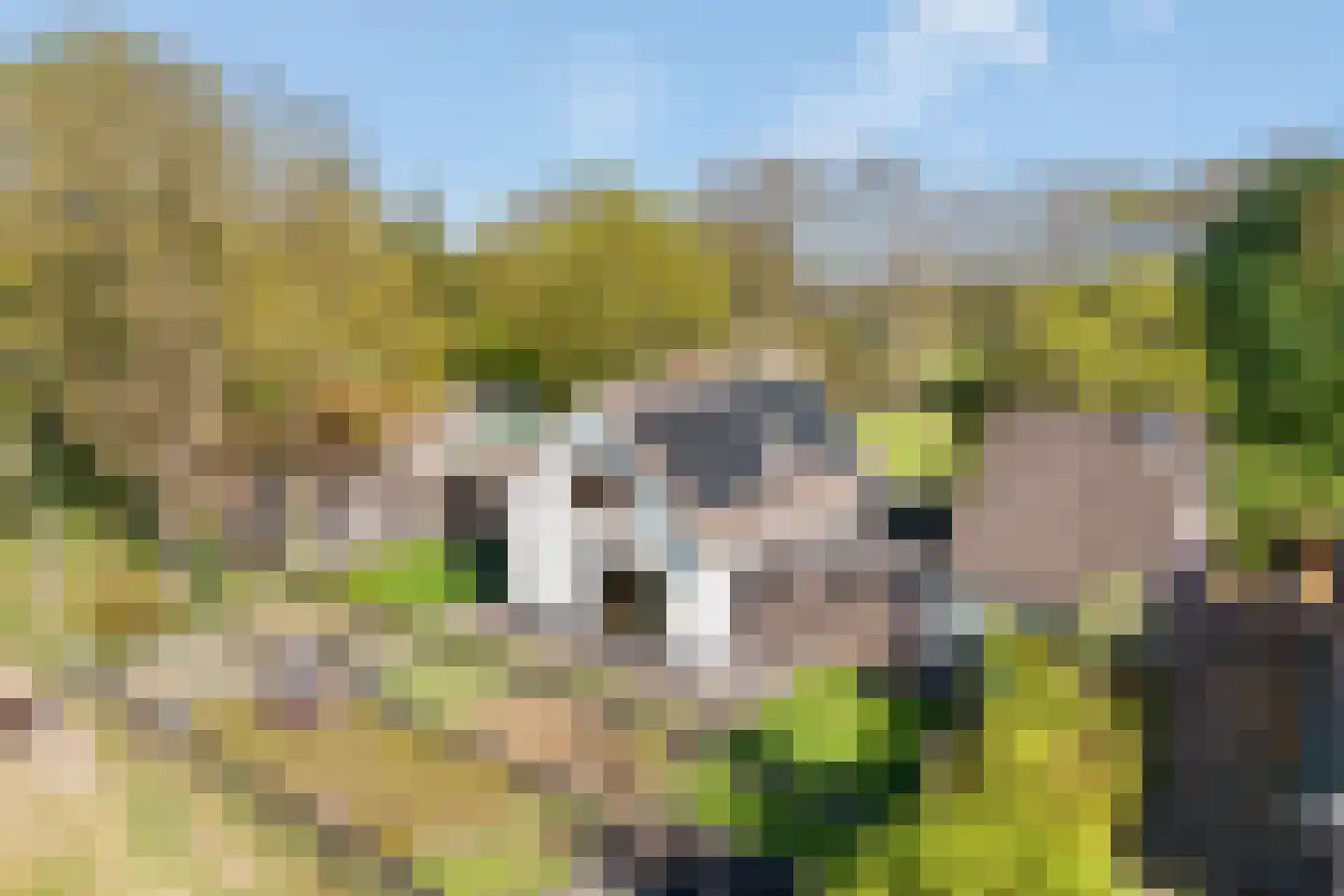Glinthaar 5 Lemele
