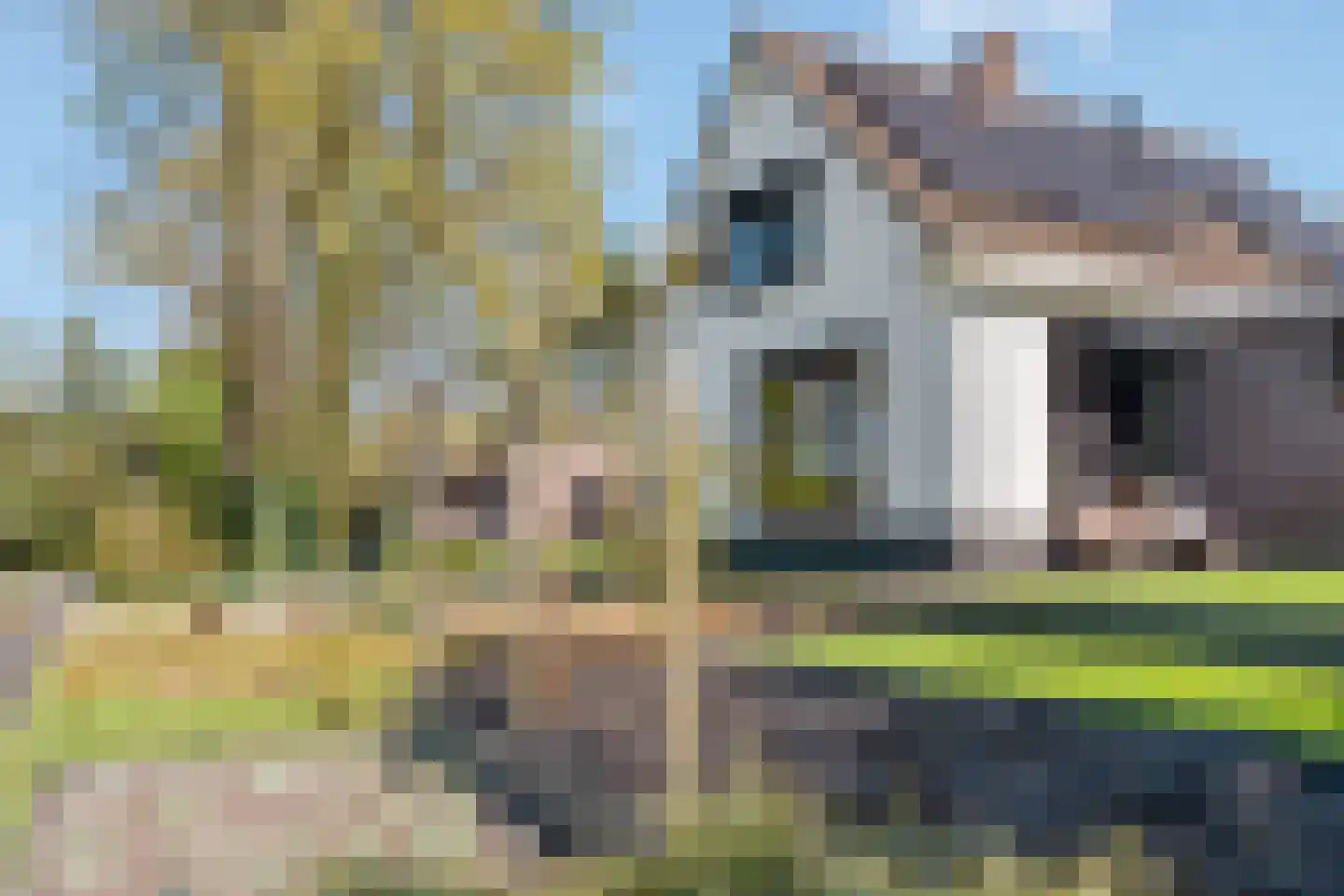 Glinthaar 5 Lemele thumbnail 10
