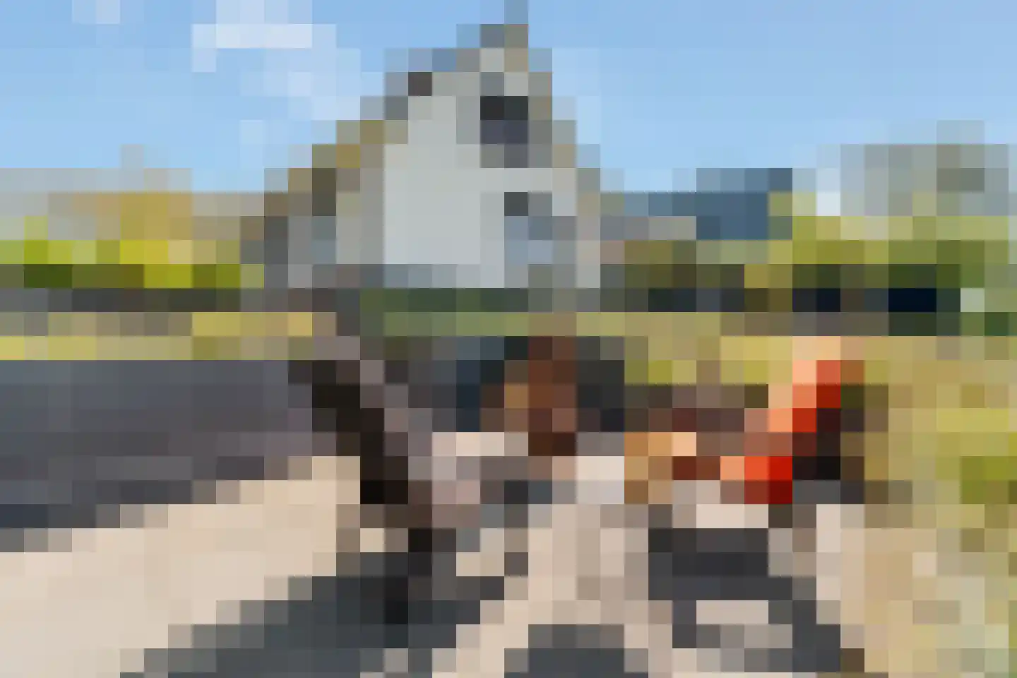 Glinthaar 5 Lemele thumbnail 12