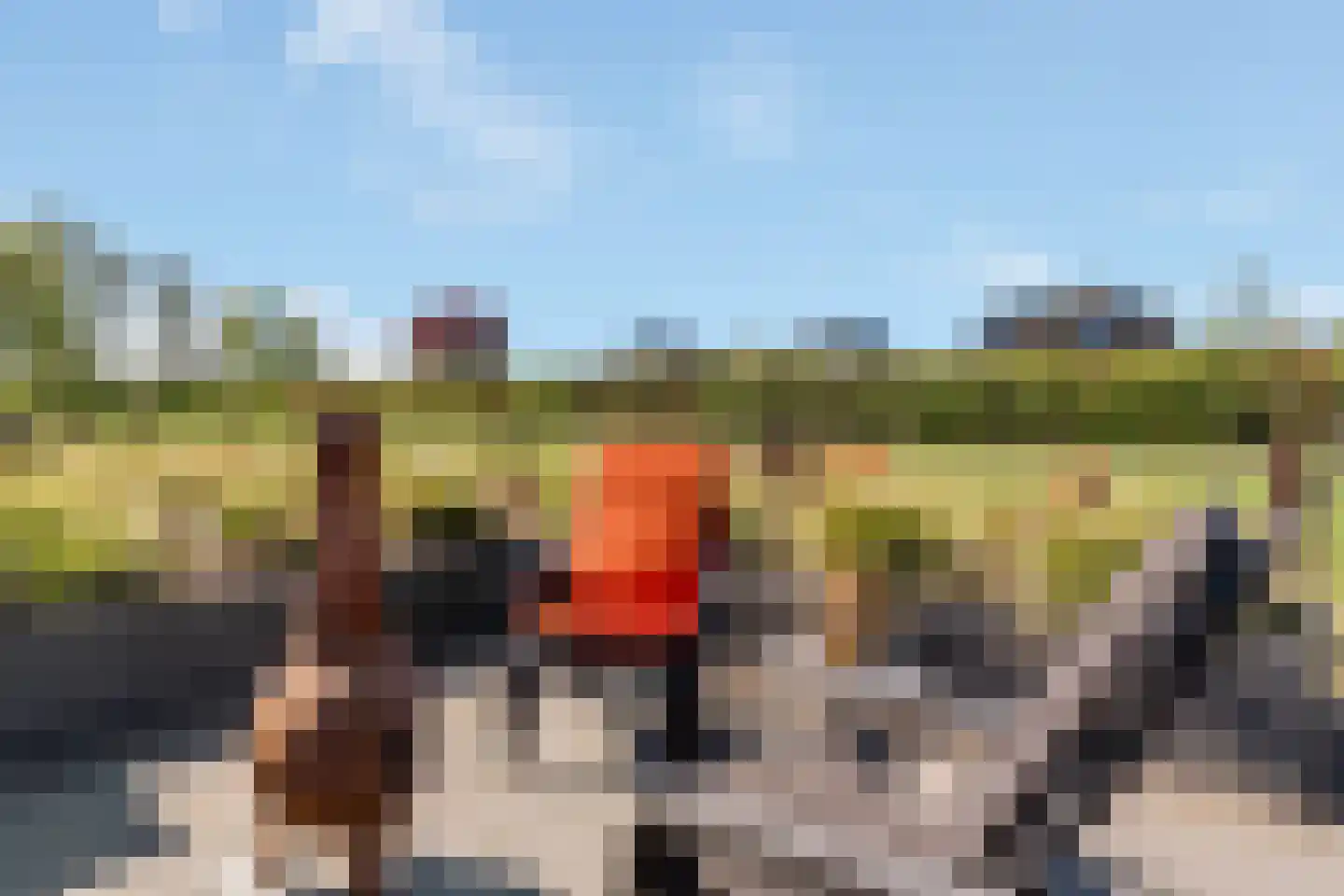 Glinthaar 5 Lemele thumbnail 13