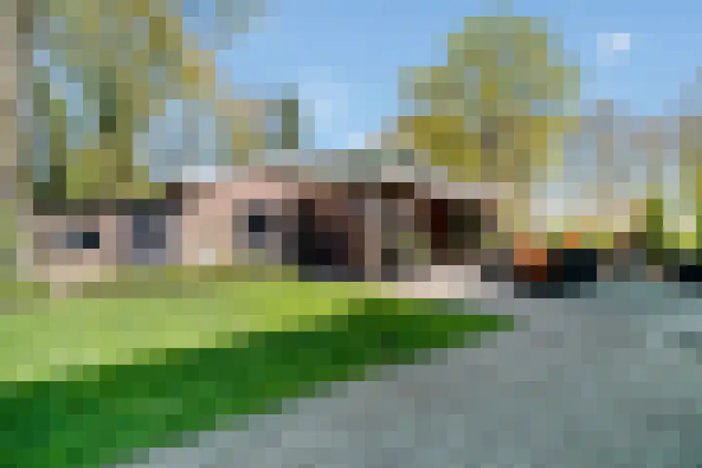 Glinthaar 5 Lemele thumbnail 15