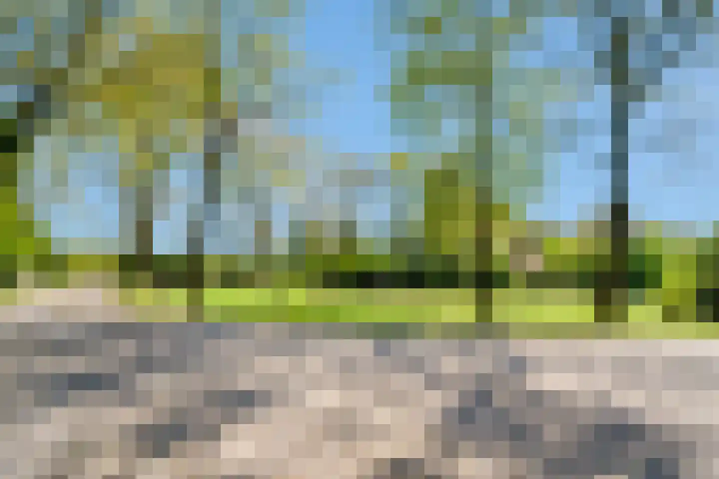 Glinthaar 5 Lemele thumbnail 18