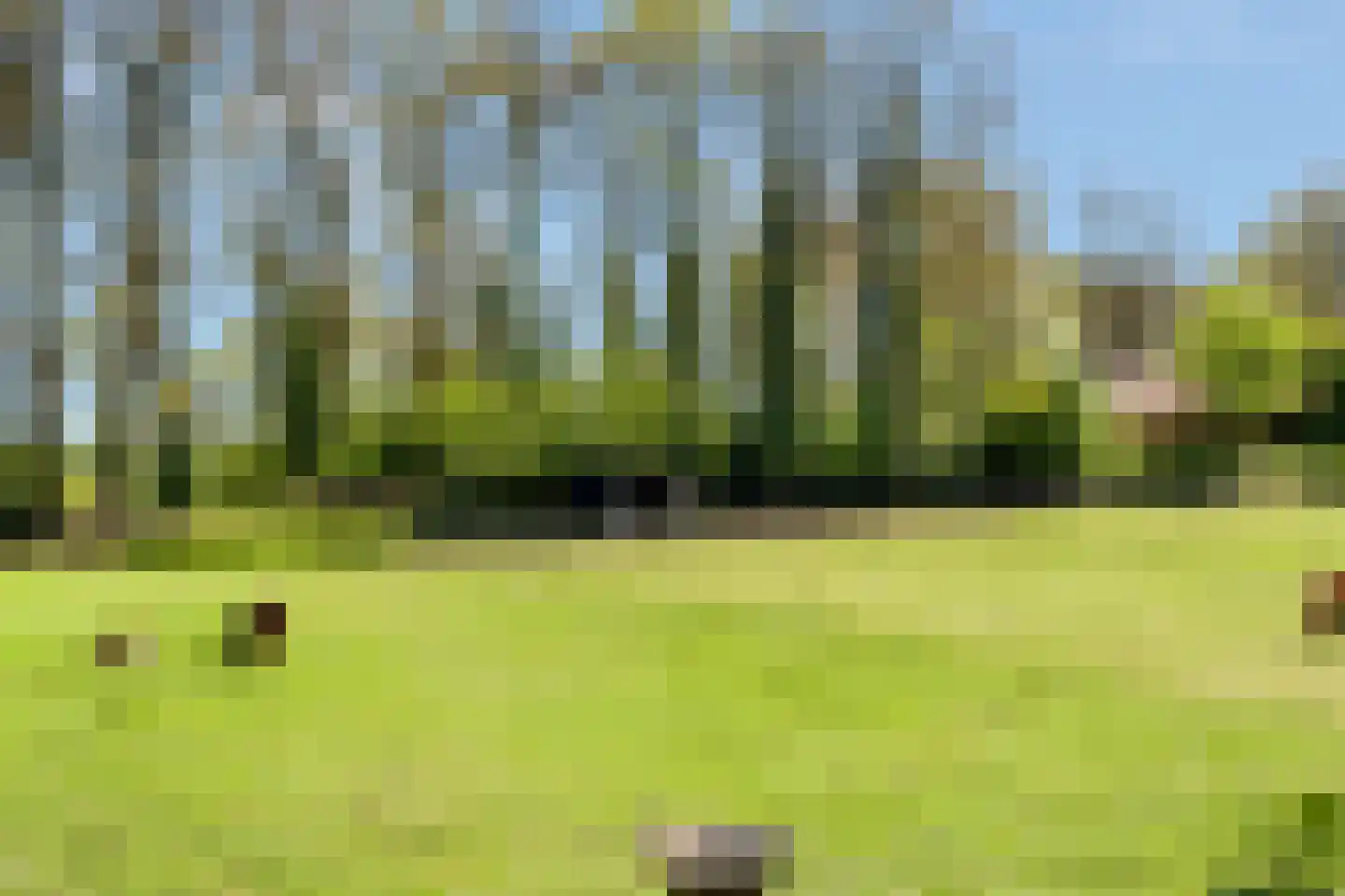 Glinthaar 5 Lemele thumbnail 19