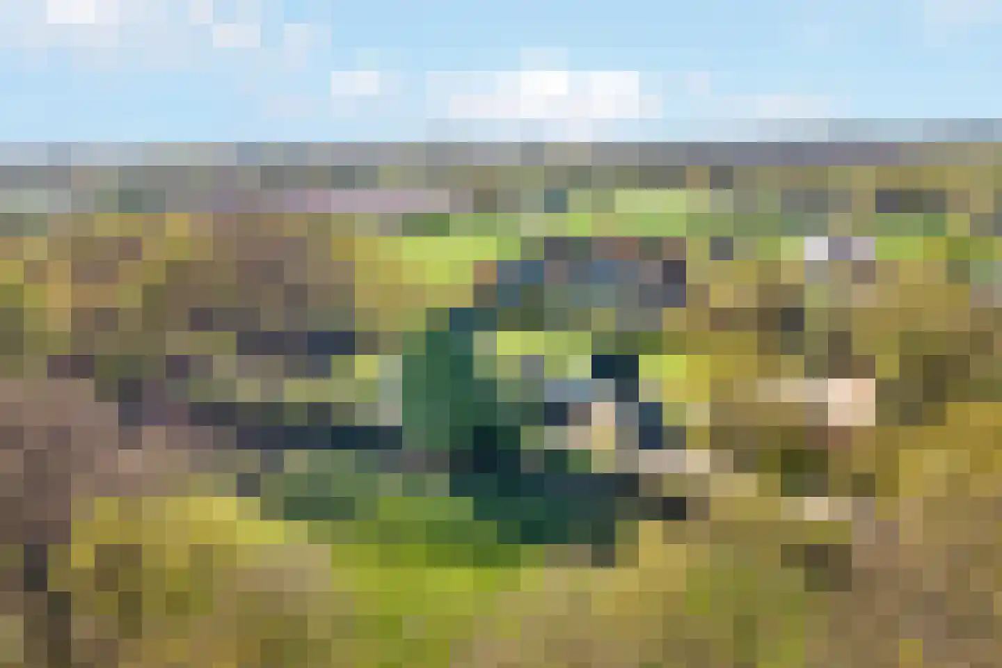 Glinthaar 5 Lemele thumbnail 20