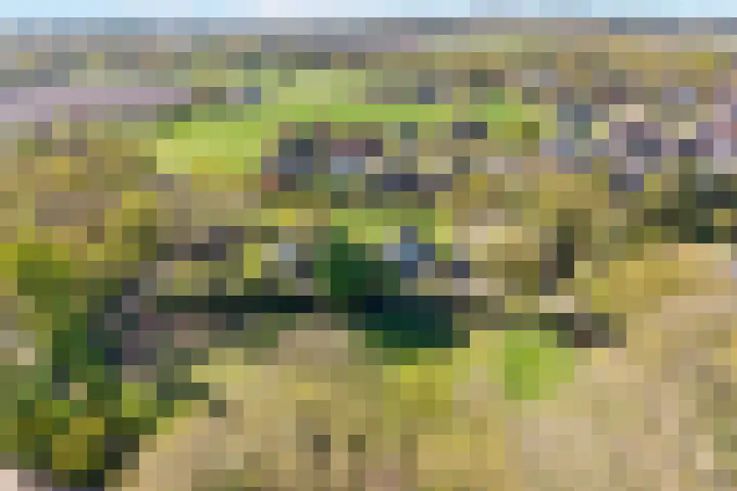 Glinthaar 5 Lemele thumbnail 21