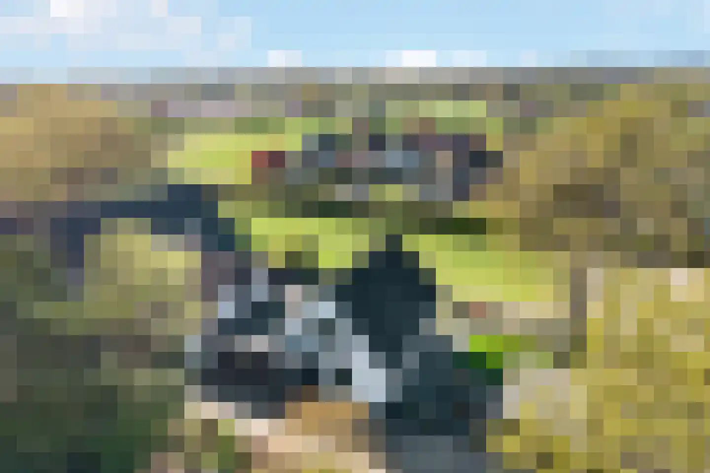 Glinthaar 5 Lemele thumbnail 24