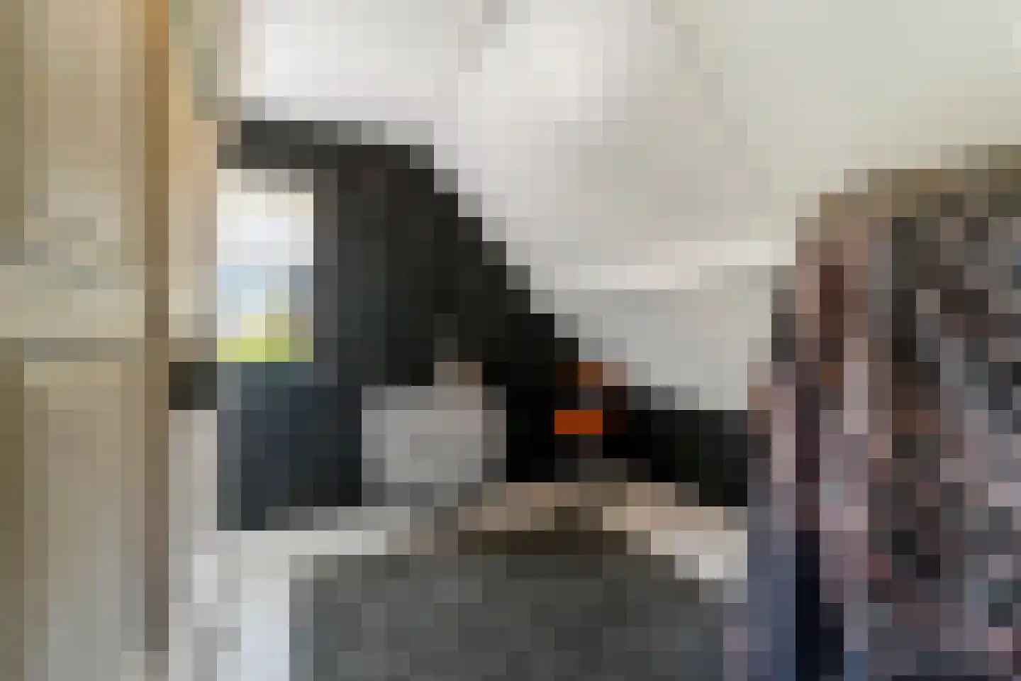 Glinthaar 5 Lemele thumbnail 37