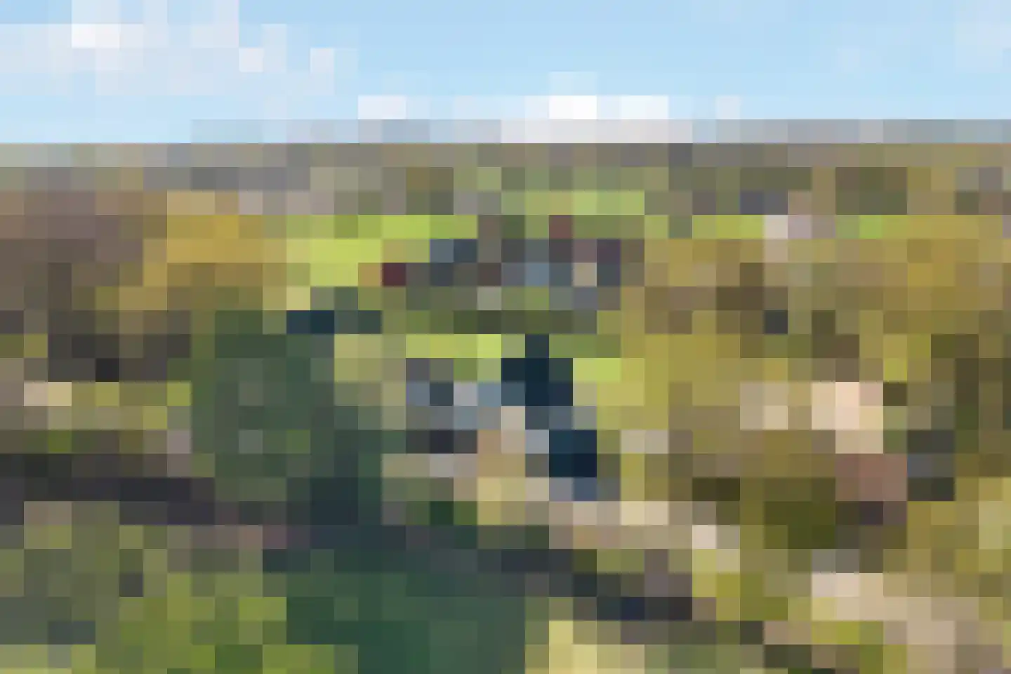 Glinthaar 5 Lemele thumbnail 4