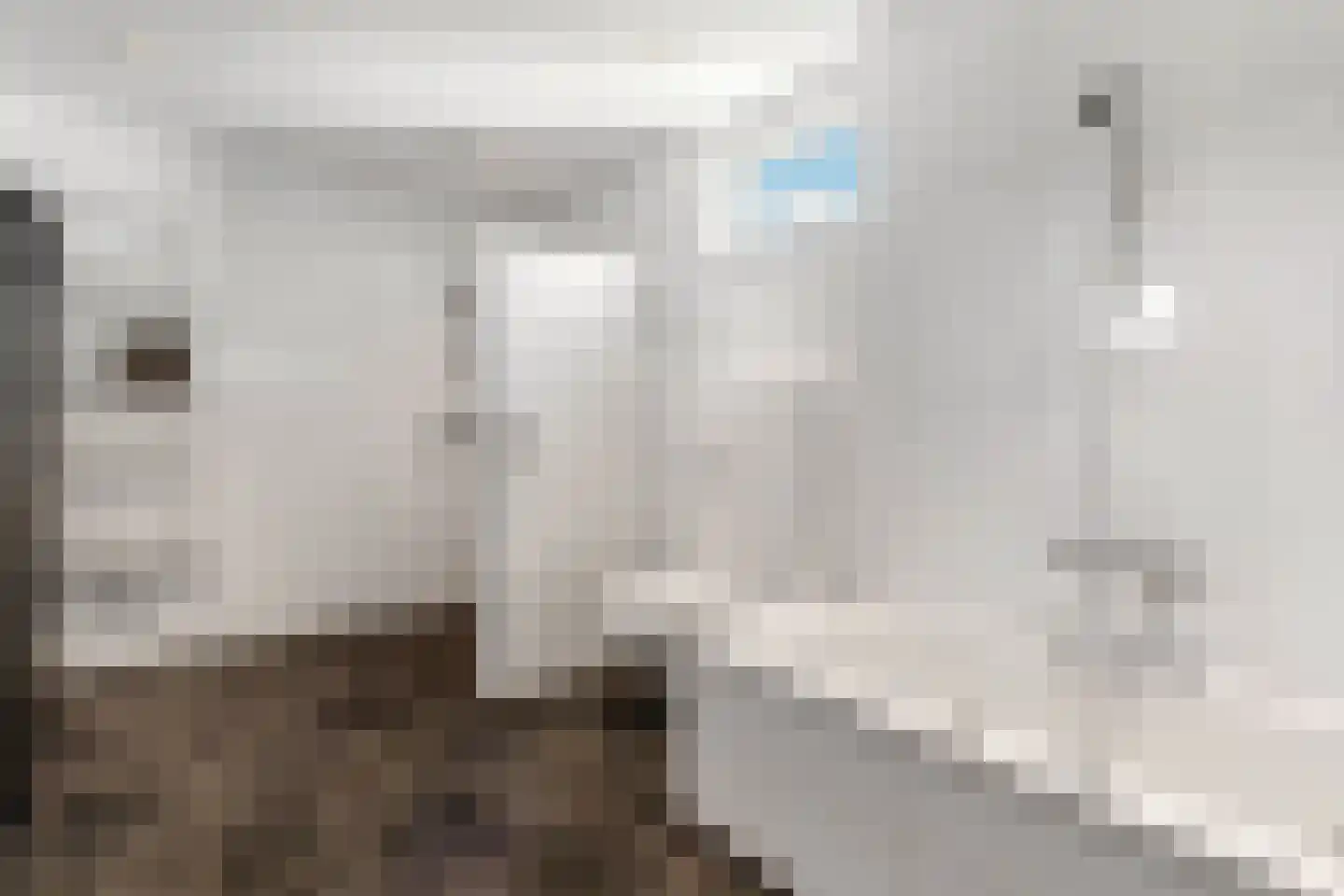 Glinthaar 5 Lemele thumbnail 46