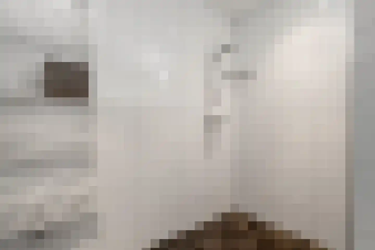 Glinthaar 5 Lemele thumbnail 47