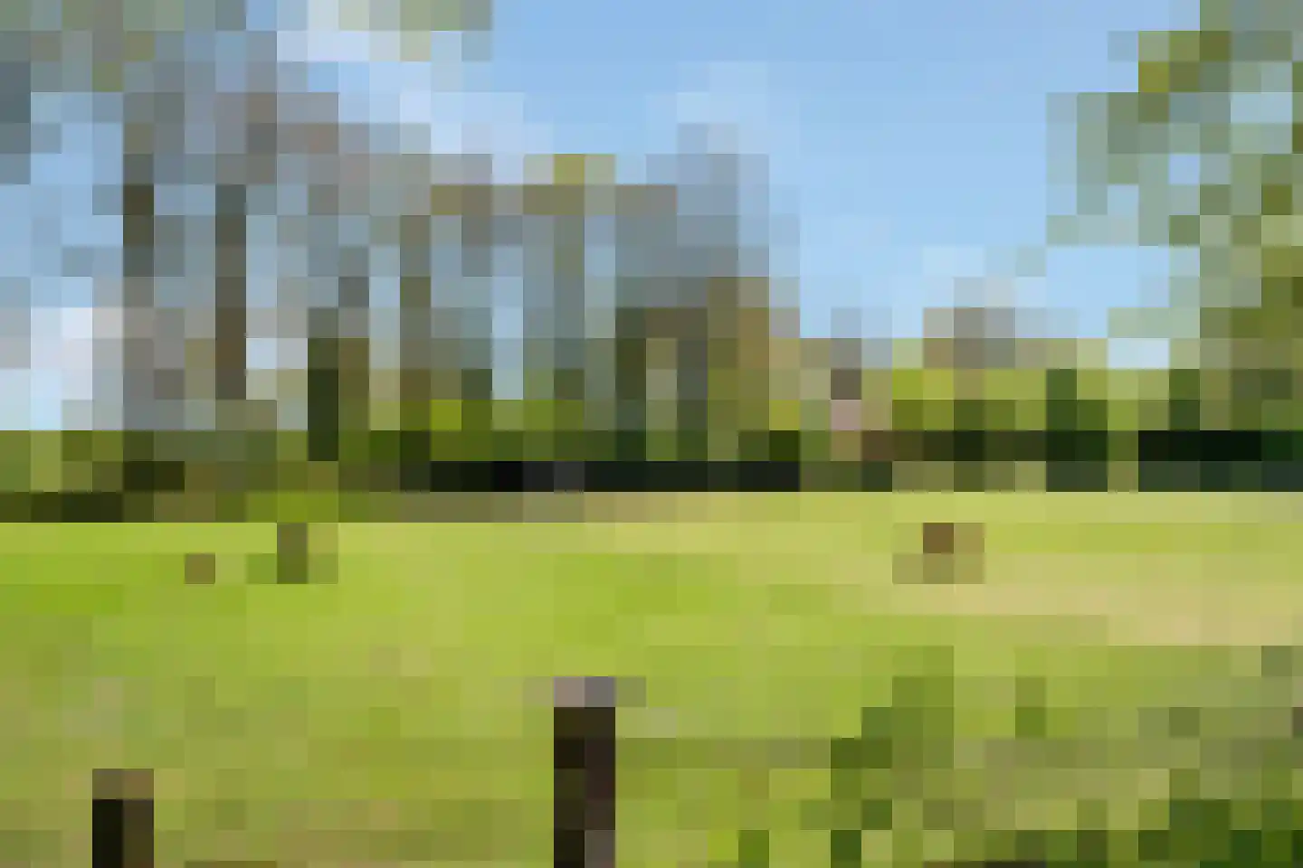 Glinthaar 5 Lemele thumbnail 5