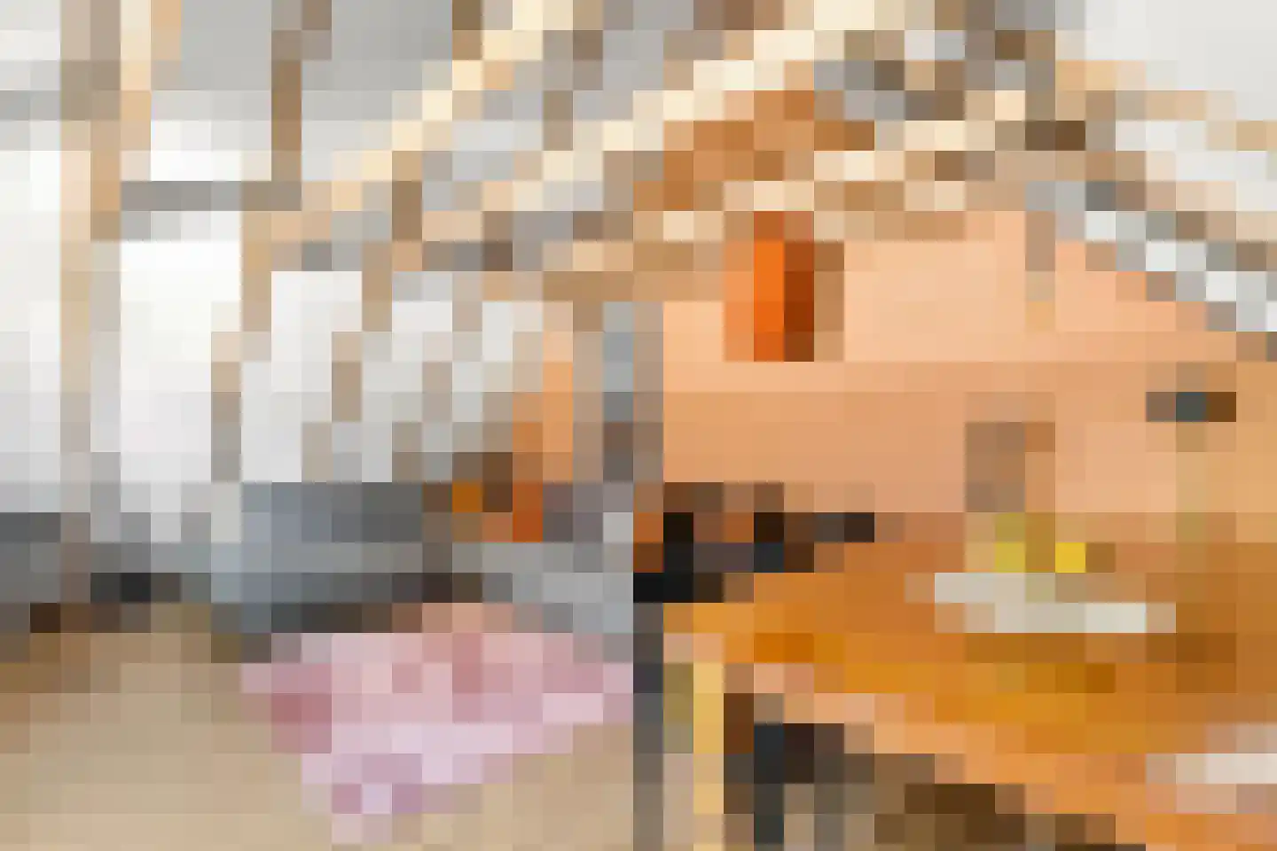 Glinthaar 5 Lemele thumbnail 53