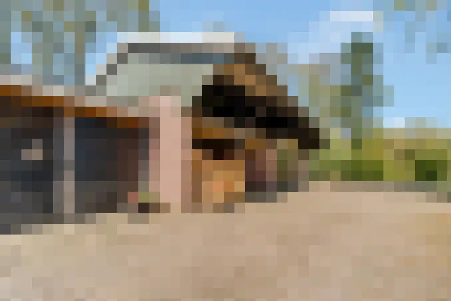 Glinthaar 5 Lemele thumbnail 56