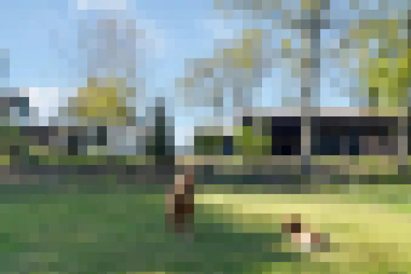 Glinthaar 5 Lemele thumbnail 6