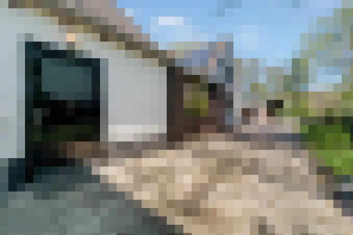 Glinthaar 5 Lemele thumbnail 61