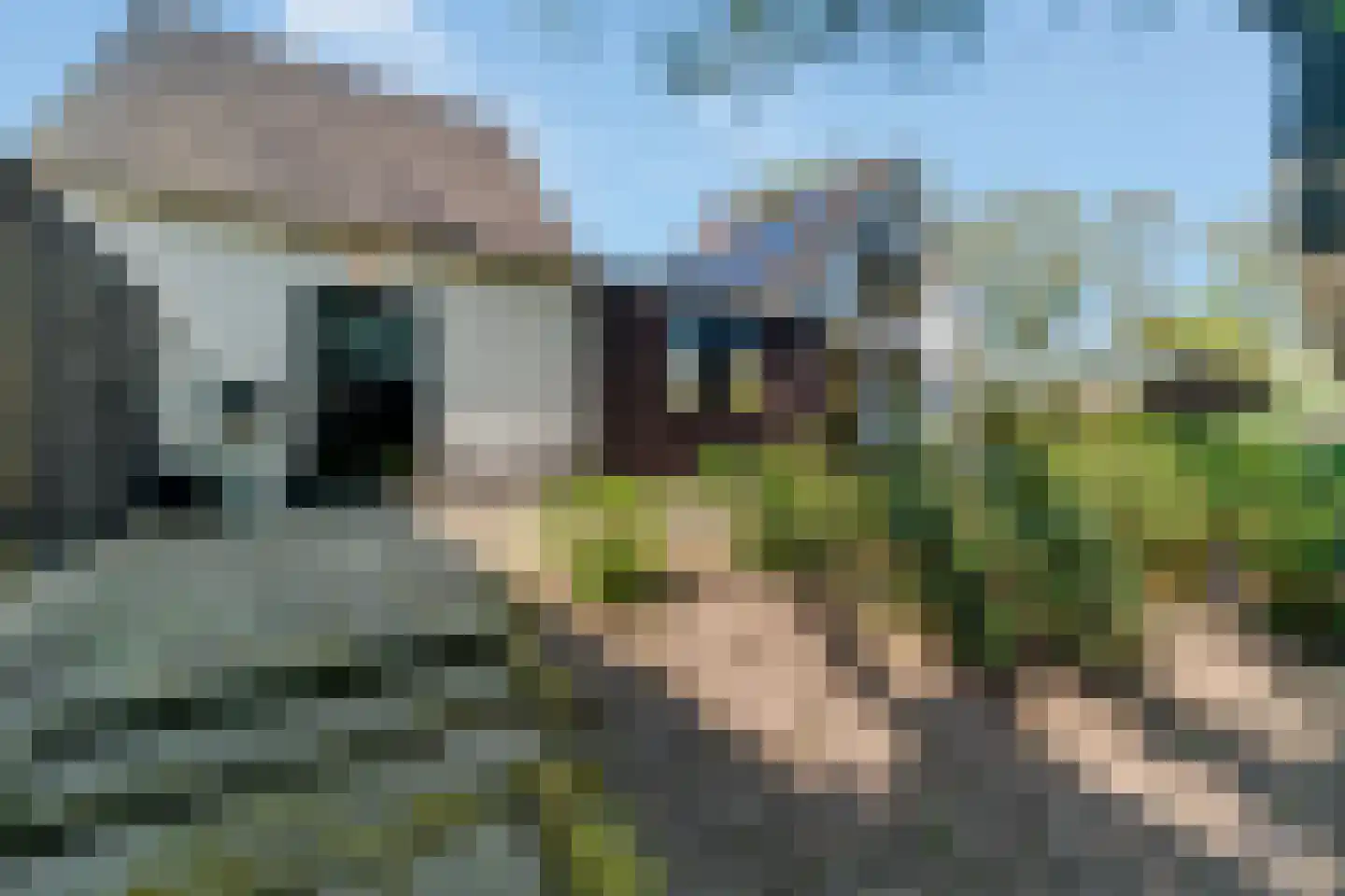 Glinthaar 5 Lemele thumbnail 62