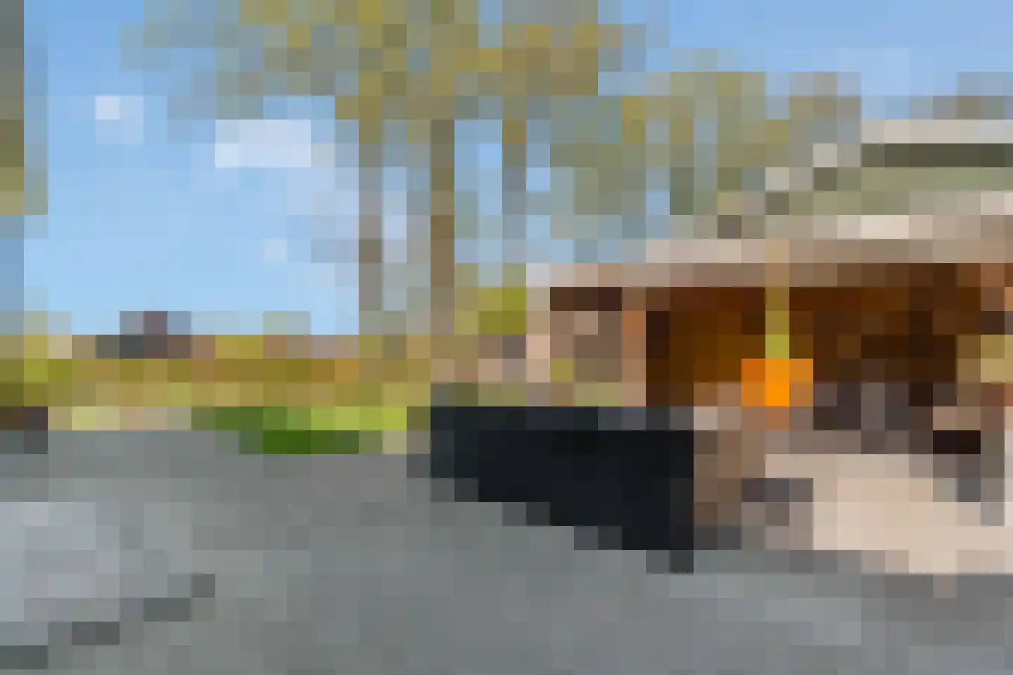 Glinthaar 5 Lemele thumbnail 63