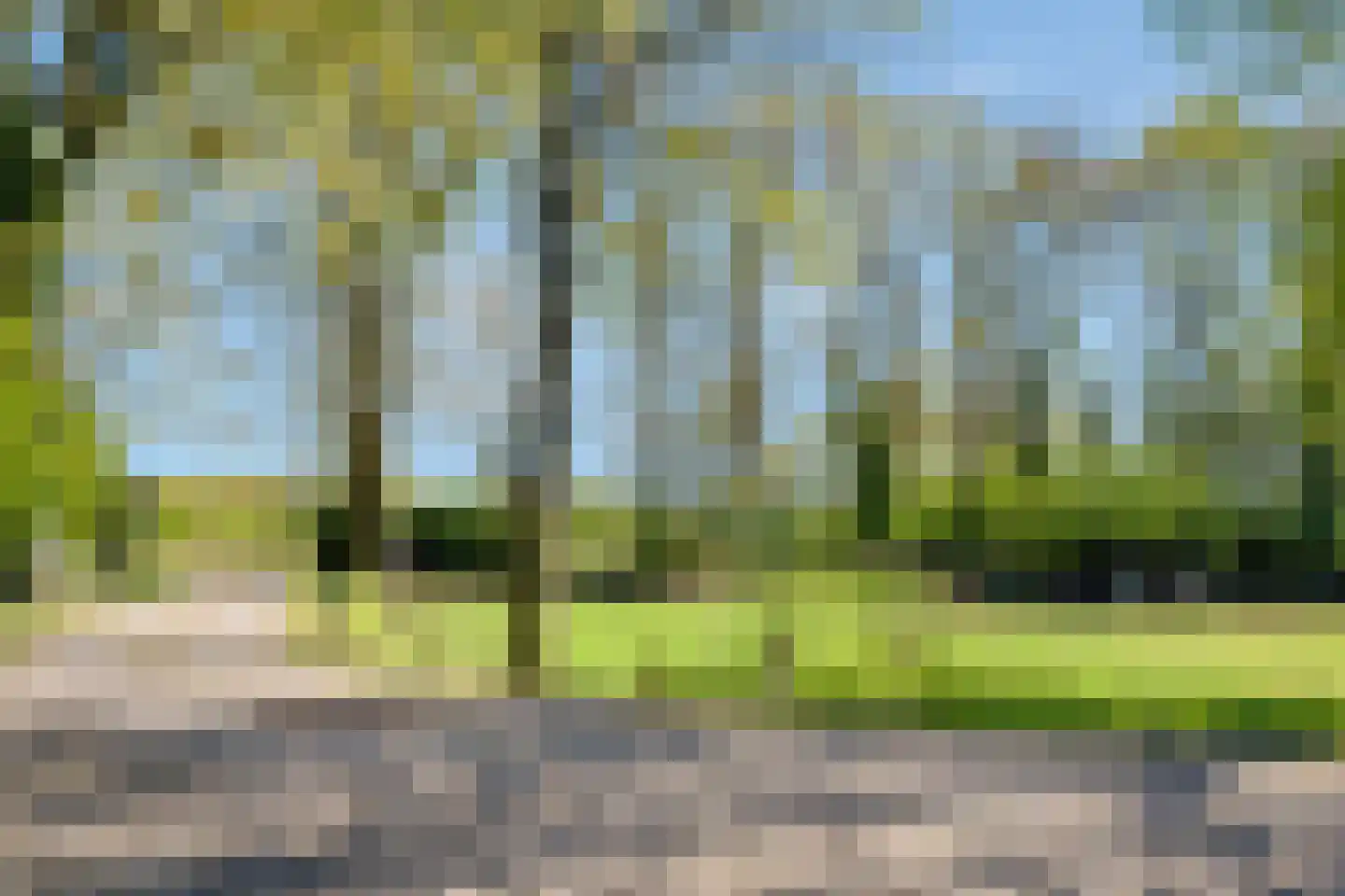 Glinthaar 5 Lemele thumbnail 66