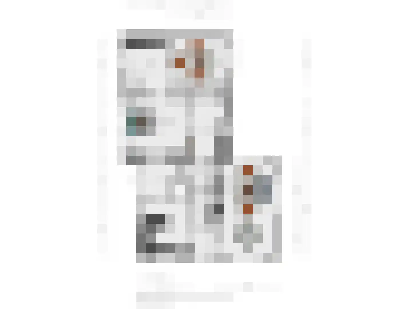 Glinthaar 5 Lemele thumbnail 68