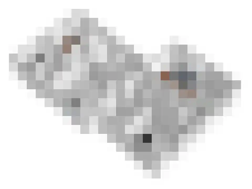 Glinthaar 5 Lemele thumbnail 69