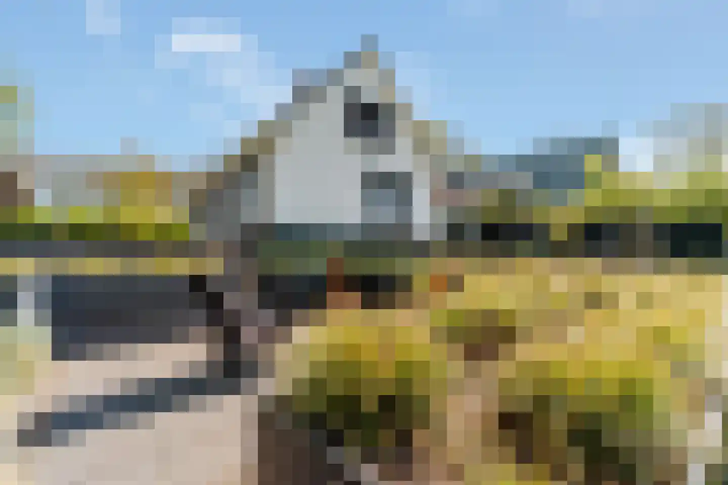 Glinthaar 5 Lemele thumbnail 8
