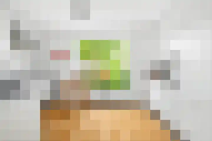 Glinthorst 28 Rotterdam thumbnail 13