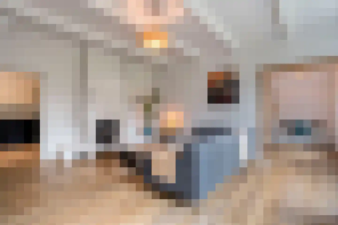 Glinthuisweg 12 Hasselt thumbnail 15