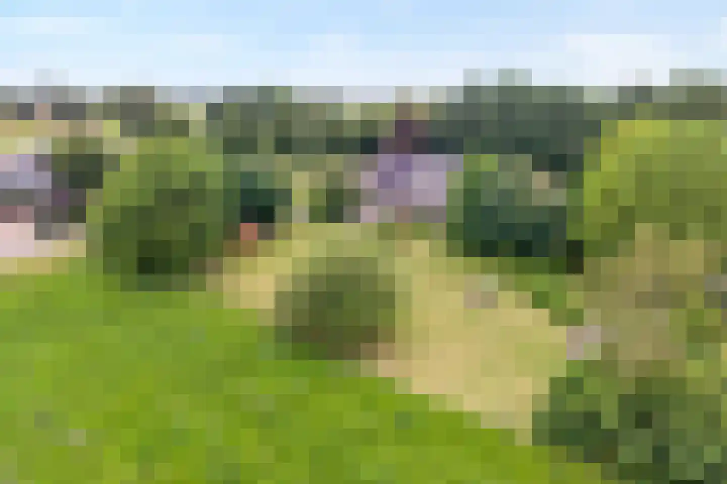 Glinthuisweg 12 Hasselt thumbnail 7