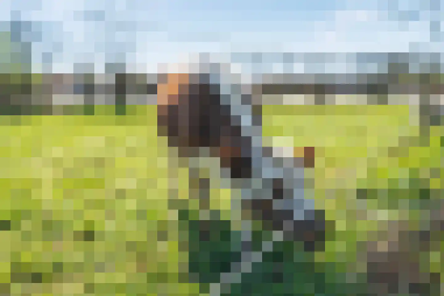 Glinthuisweg 15 Hasselt thumbnail 17