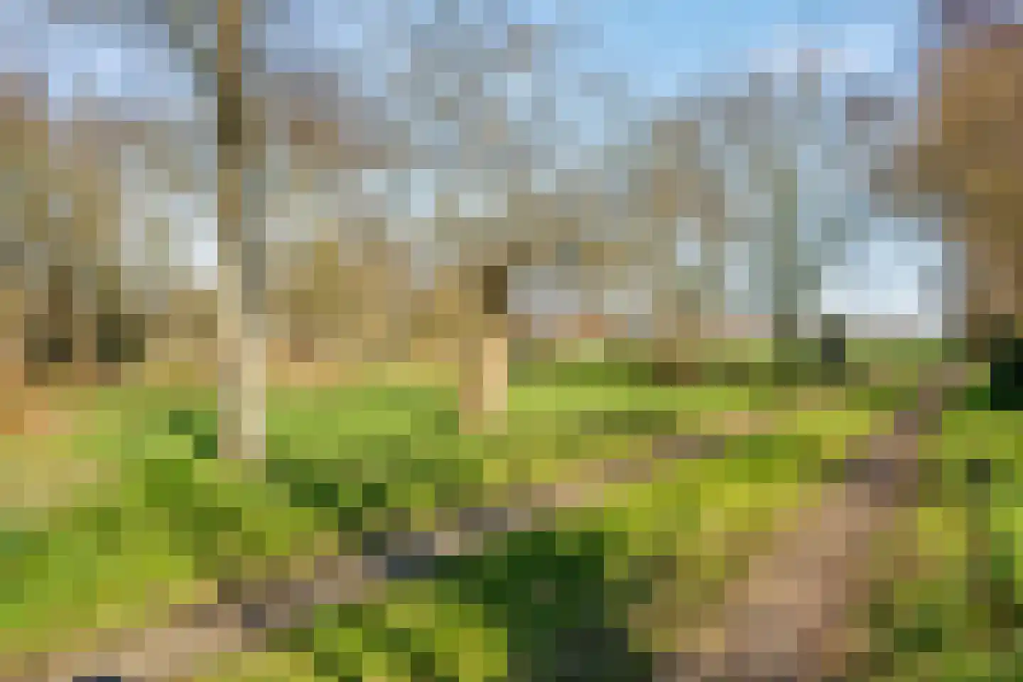Glinthuisweg 15 Hasselt thumbnail 18